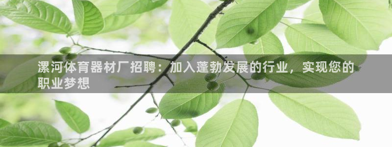 耀世兵权：漯河体育器材厂招聘：加入蓬勃发展的行业，实
