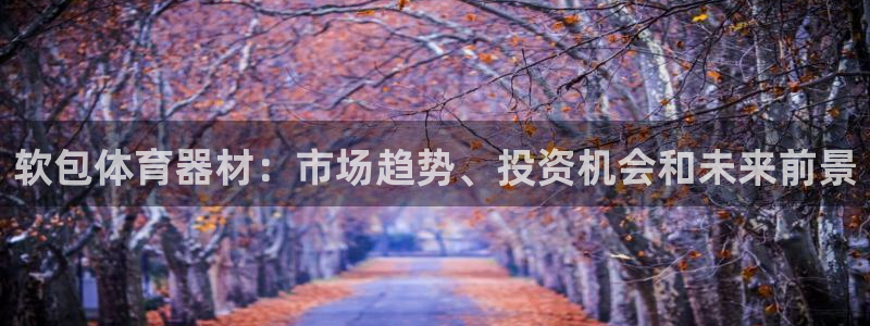 耀世集团是什么电影里的人物：软包体育器材：市场趋势、