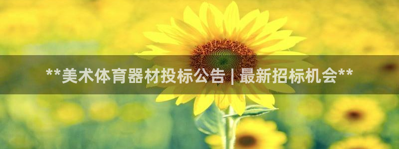 耀世是什么游戏里的人物：**美术体育器材投标公告 |