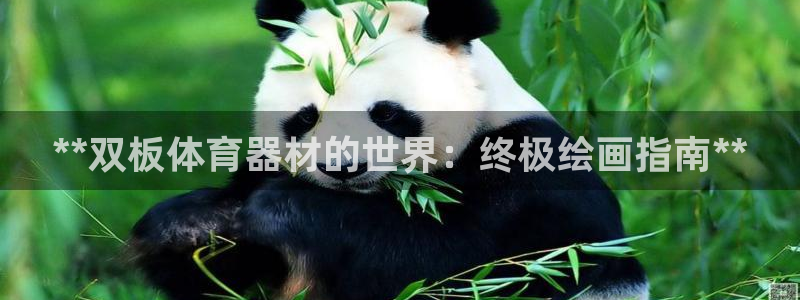 耀世平台注册登录：**双板体育器材的世界：终极绘画指
