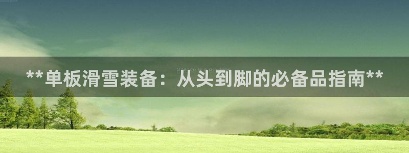 耀世平台有很多登录地址吗：**单板滑雪装备：从头到脚