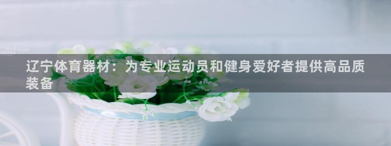 耀世娱乐是不是赚钱了：辽宁体育器材：为专业运动员和健