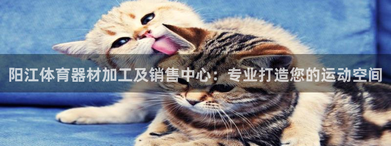 耀世平台负责人是谁：阳江体育器材加工及销售中心：专业
