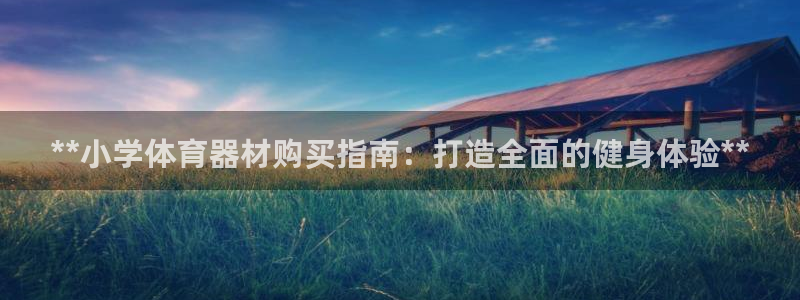 耀世平台注册流程视频：**小学体育器材购买指南：打造