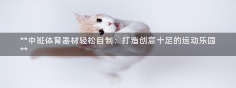 耀世平台精选 58534I 耀世：**中班体育器材轻