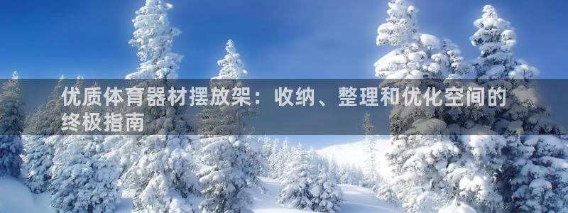 耀世挑战第二关怎么过：优质体育器材摆放架：收纳、整理
