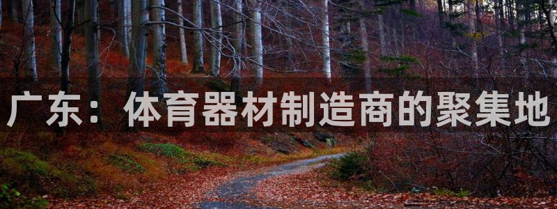 耀世传媒好吗：广东：体育器材制造商的聚集地