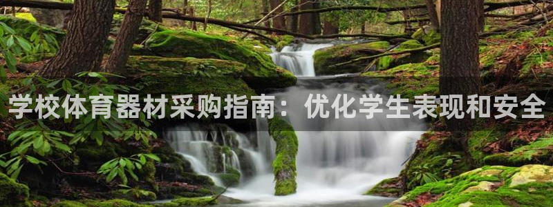 耀世盛典手游下载：学校体育器材采购指南：优化学生表现