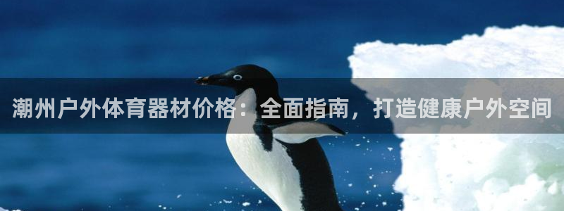 耀世平台易 411031 耀世：潮州户外体育器材价格