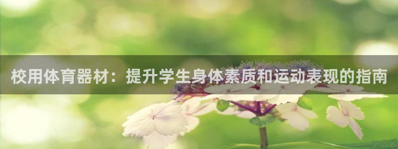 耀世集团总部在哪儿：校用体育器材：提升学生身体素质和