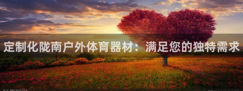 耀世娱乐app下载安装最新版：定制化陇南户外体育器材