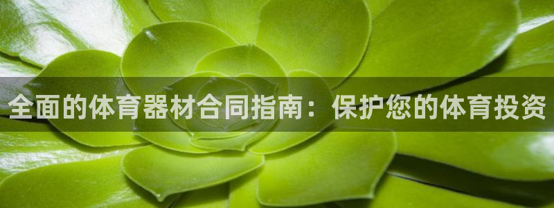 耀世娱乐官网网站下载：全面的体育器材合同指南：保护您