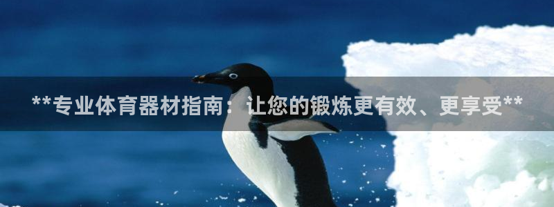 耀世平台注册链接怎么打开：**专业体育器材指南：让您