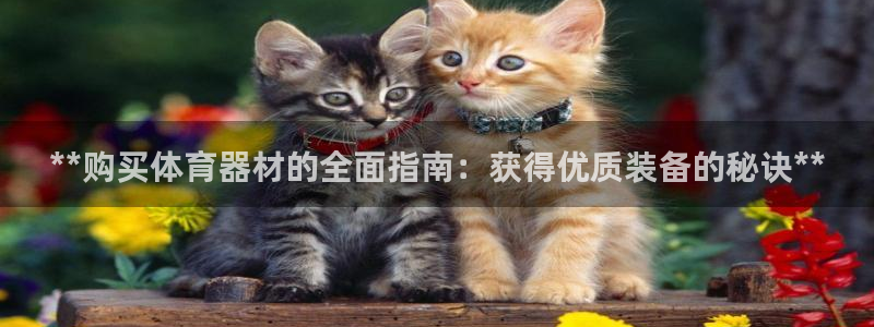 耀世娱乐然 37OO735：**购买体育器材的全面指
