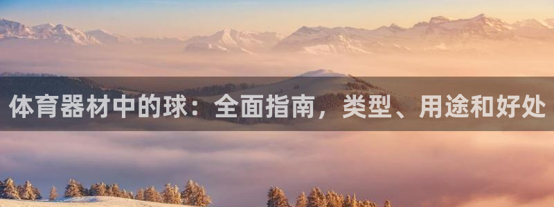 耀世平台app下载：体育器材中的球：全面指南，类型、