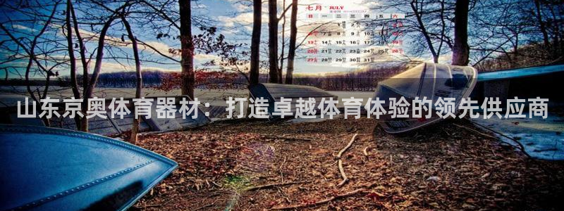 耀世平台代理注册登录不了：山东京奥体育器材：打造卓越