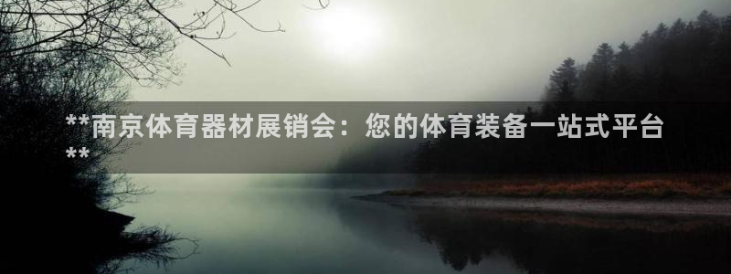 耀世集团商业联盟罗文斌：**南京体育器材展销会：您的