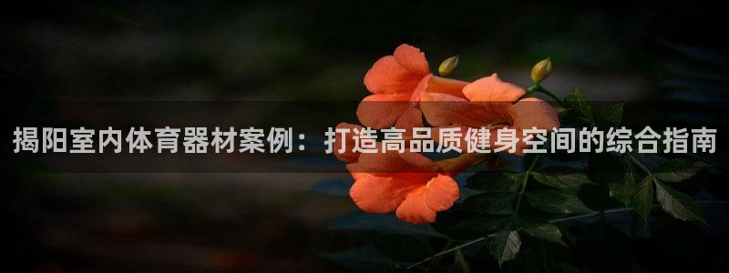 耀世娱乐招商注册 知乎是真的吗：揭阳室内体育器材案例