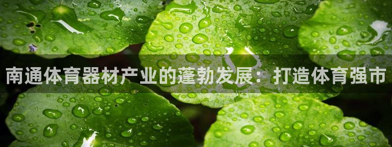 耀世平台理 411o31 平台：南通体育器材产业的蓬