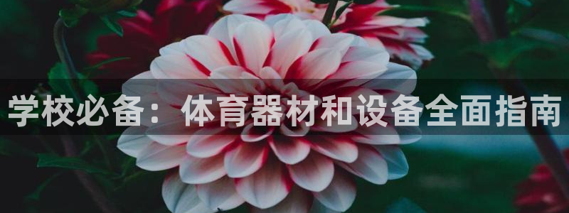 耀世平台的运营模式有哪些：学校必备：体育器材和设备全