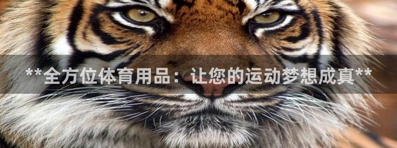 耀世微光歌曲下载：**全方位体育用品：让您的运动梦想