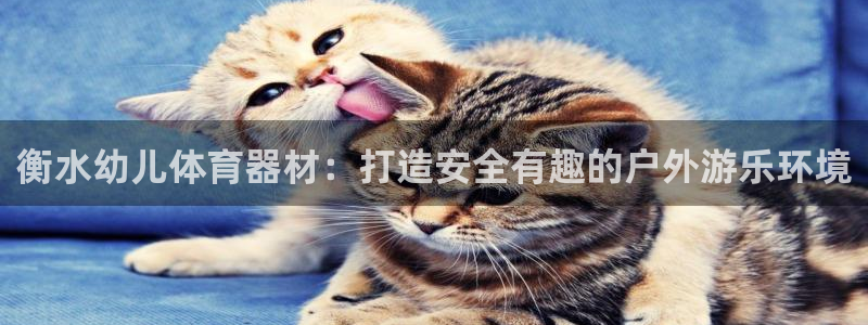 耀世国际平台正规吗安全吗可信吗：衡水幼儿体育器材：打