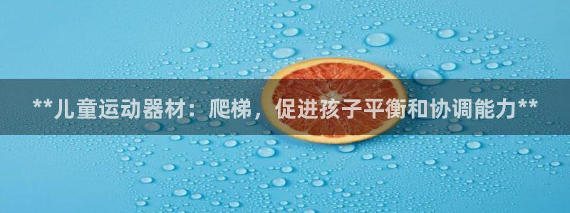 耀世娱乐是正规还是仿：**儿童运动器材：爬梯，促进孩