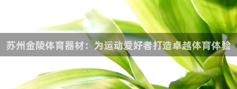 耀世娱乐平台官网登录不了怎么办：苏州金陵体育器材：为