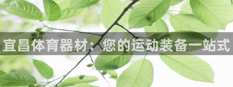 耀世平台网站：宜昌体育器材：您的运动装备一站式