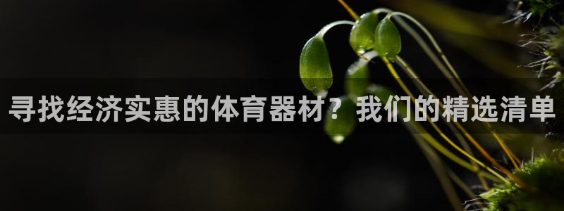 耀世娱乐可以玩吗知乎：寻找经济实惠的体育器材？我们的
