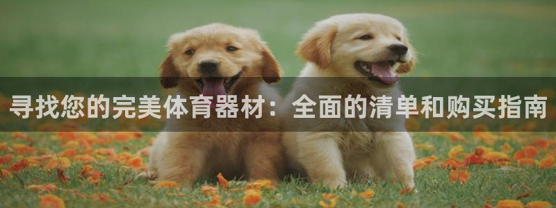 耀世娱乐提款多久到账：寻找您的完美体育器材：全面的清