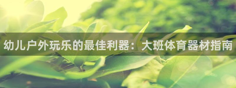 耀世娱乐登陆地址在哪：幼儿户外玩乐的最佳利器：大班体