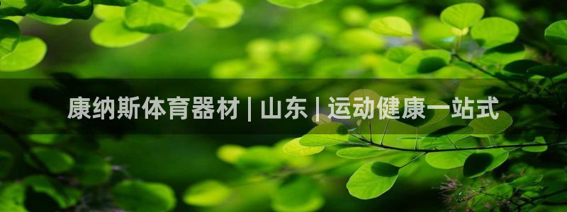 耀世盛典下载：康纳斯体育器材 | 山东 | 运动健康