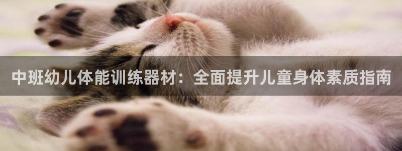 耀世集团公益：中班幼儿体能训练器材：全面提升儿童身体