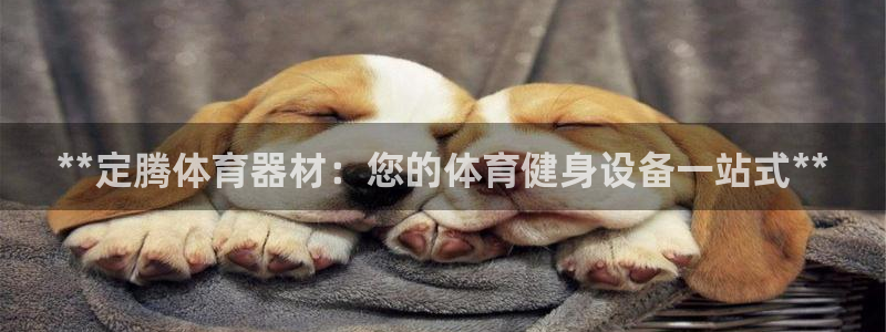 耀世娱乐登录注册不了：**定腾体育器材：您的体育健身