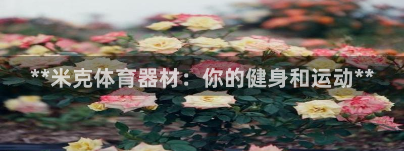 耀世娱乐客服：**米克体育器材：你的健身和运动**