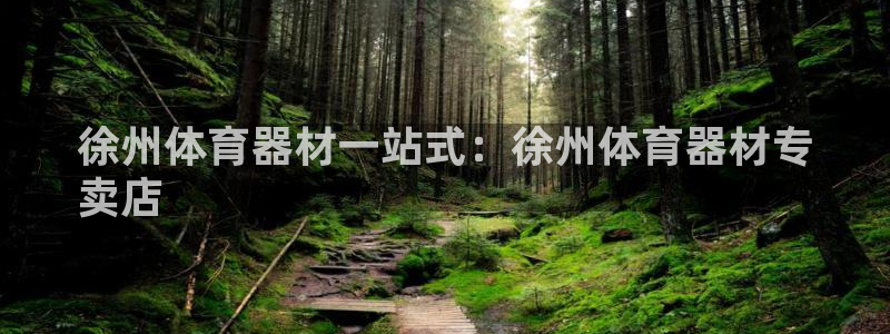 耀世娱乐是不是赚钱了：徐州体育器材一站式：徐州体育器