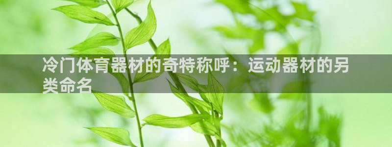 耀世娱乐挂机事件详情：冷门体育器材的奇特称呼：运动器