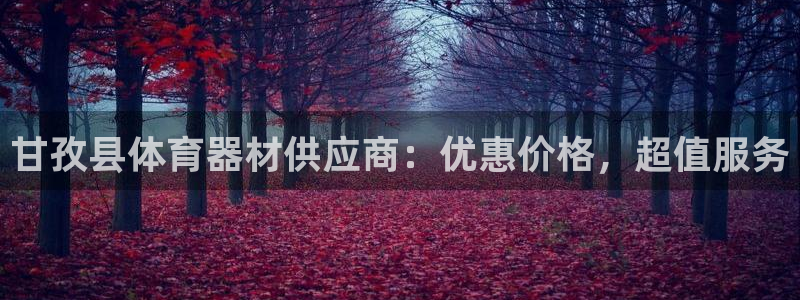 耀世平台开户流程：甘孜县体育器材供应商：优惠价格，超