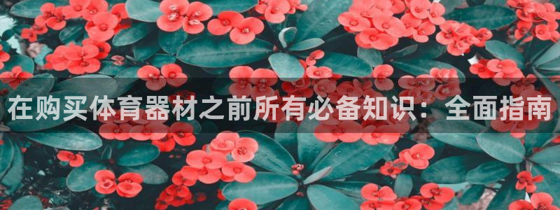 耀世启幕：在购买体育器材之前所有必备知识：全面指南