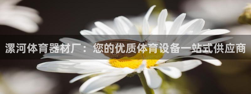 耀世官方网站：漯河体育器材厂：您的优质体育设备一站式
