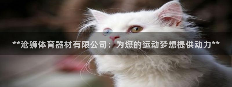 耀世娱乐可以玩吗：**沧狮体育器材有限公司：为您的运