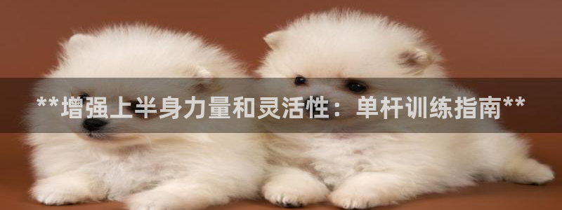耀世平台app下载安装官网：**增强上半身力量和灵活