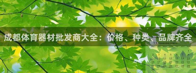 耀世娱乐官方网站下载：成都体育器材批发商大全：价格、