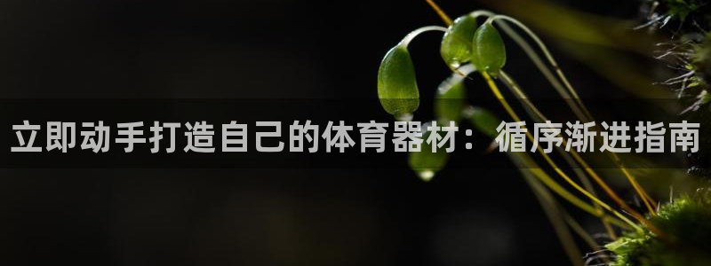 耀世团长：立即动手打造自己的体育器材：循序渐进指南