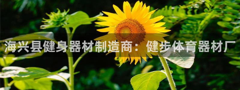 耀世平台先 58534I 耀世：海兴县健身器材制造商