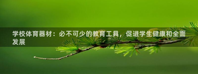 耀世娱乐登陆地址：学校体育器材：必不可少的教育工具，