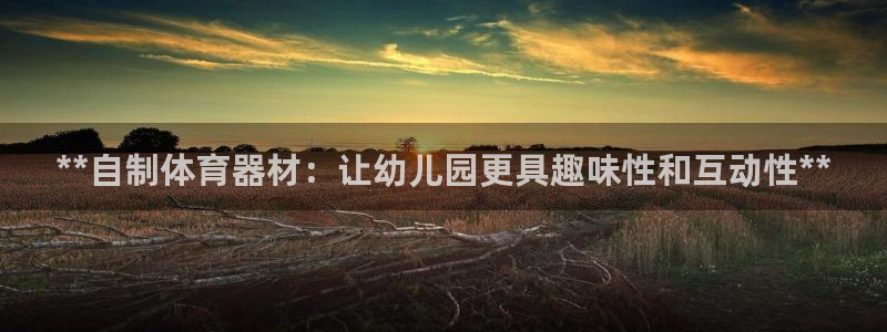 耀世兵权：**自制体育器材：让幼儿园更具趣味性和互动