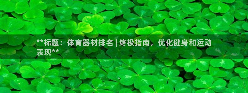 耀世什么意思：**标题：体育器材排名 | 终极指南，