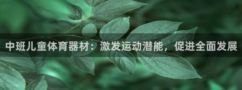 耀世娱乐注册开户要钱吗：中班儿童体育器材：激发运动潜